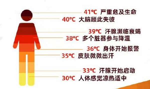 6891658824809128.jpg ia_100000654.jpg