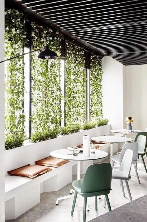 9731665477840682.jpg 9731665477840682.jpg