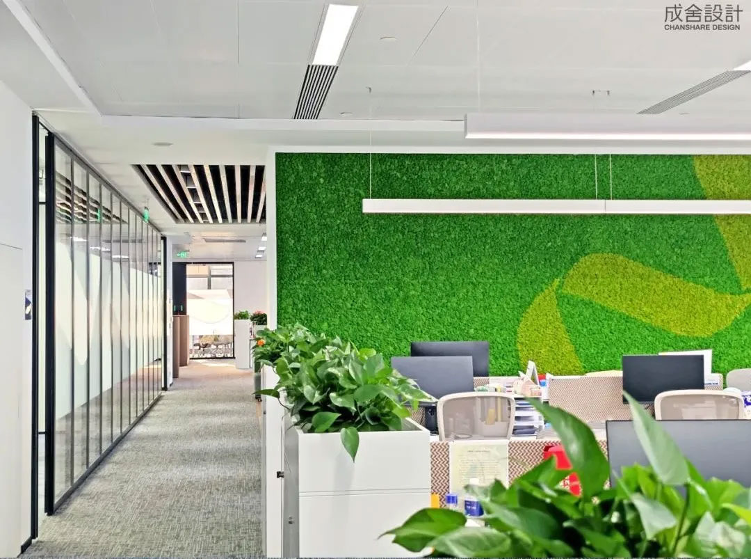 辦公綠化-常州品牌裝修公司 辦公綠化-常州品牌裝修公司